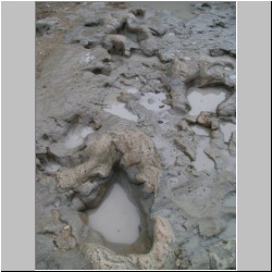 100_0740 (2009-27-07).JPG